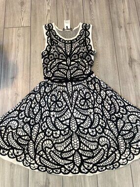 BCBGMAXAZRIA Silk Blend Fit & Flare Dress Black Ivory Medium